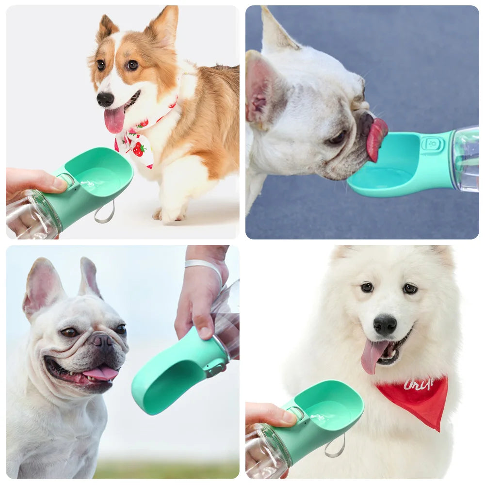 PawPort Water Bottle