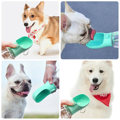 PawPort Water Bottle